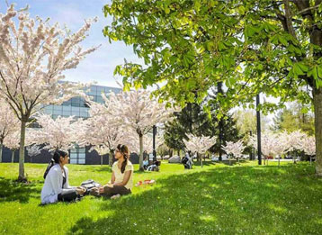 Lorem ipsum dolor sit amet, consecte adipiscing elit. Aenean